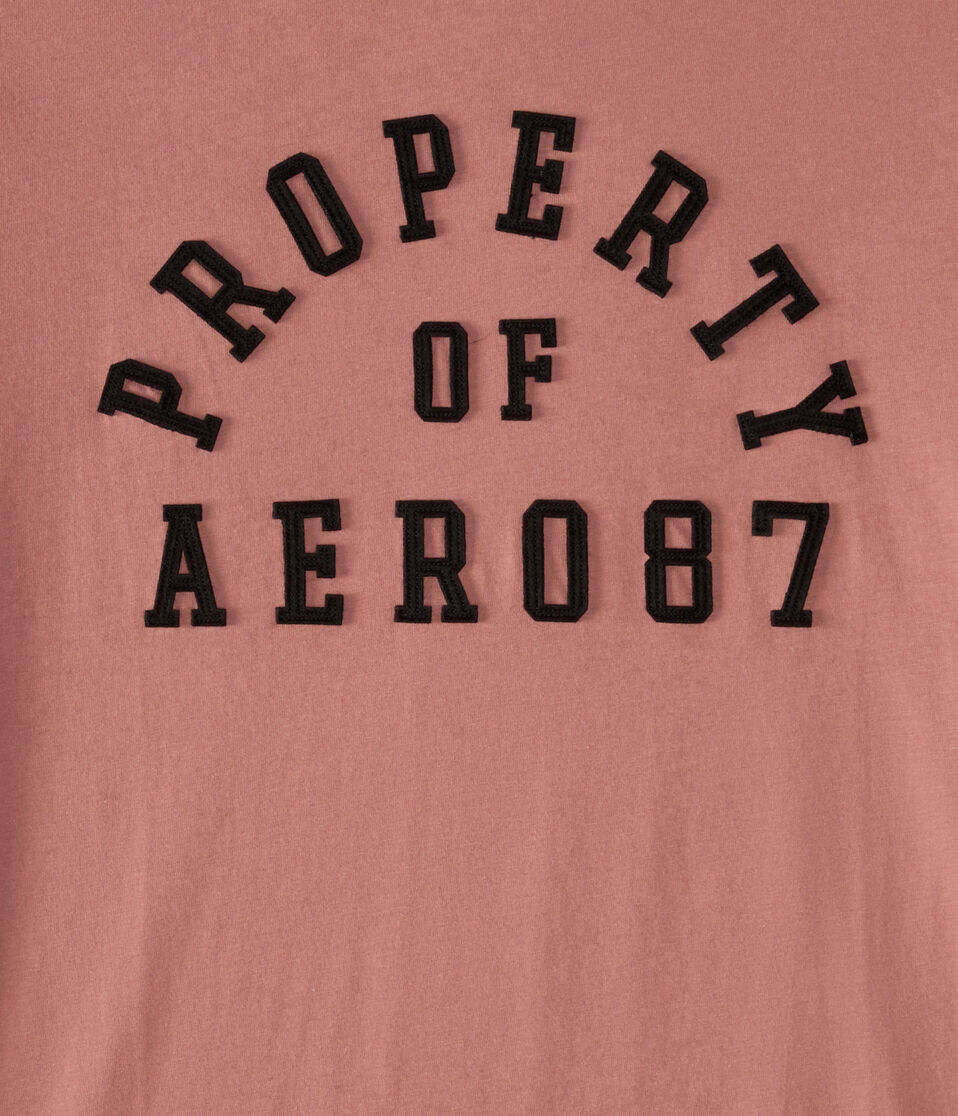 Property Of Aero Appliqué Graphic Tee