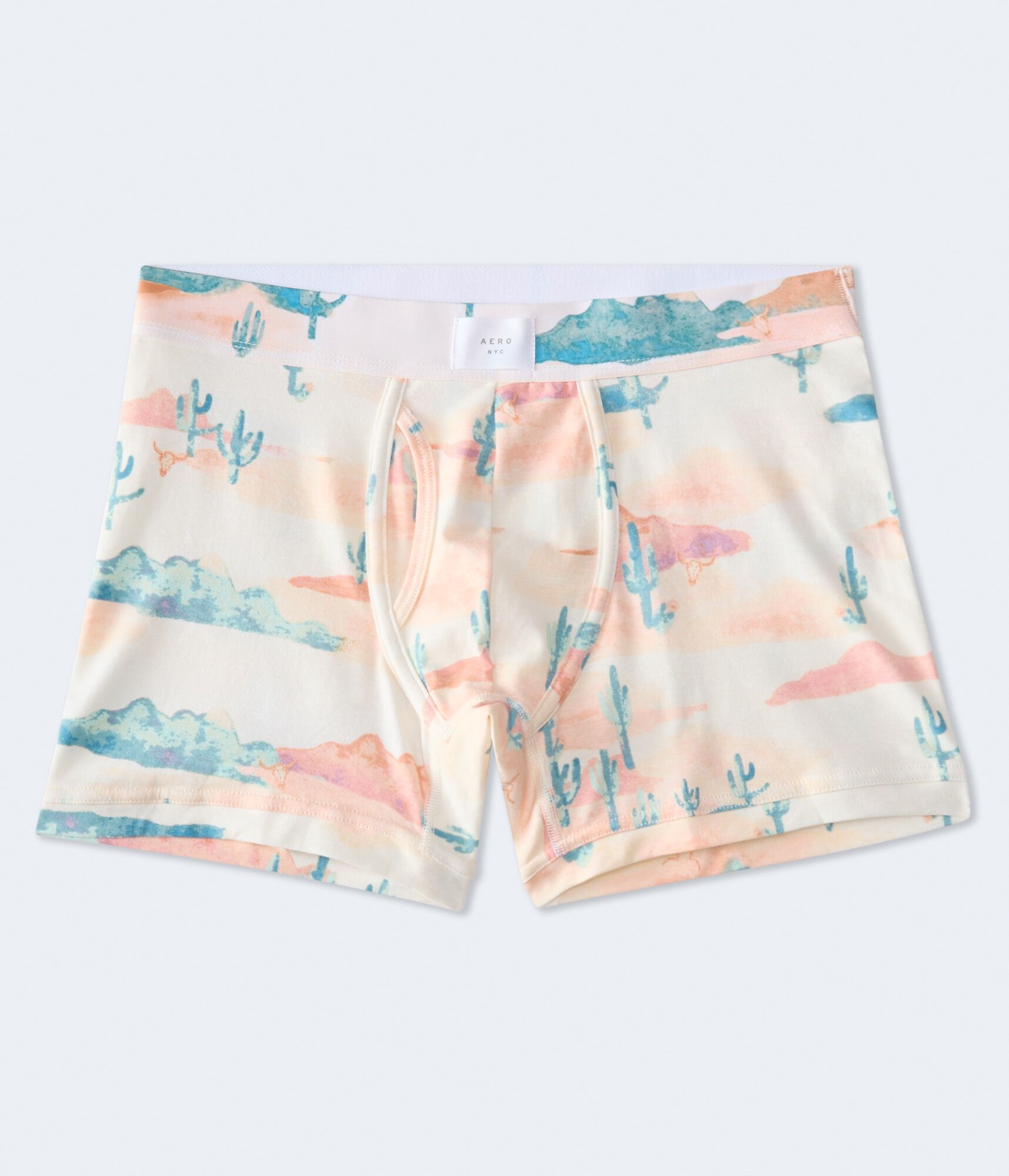 Desert Cactus Scene 4.5" Boxer Brief