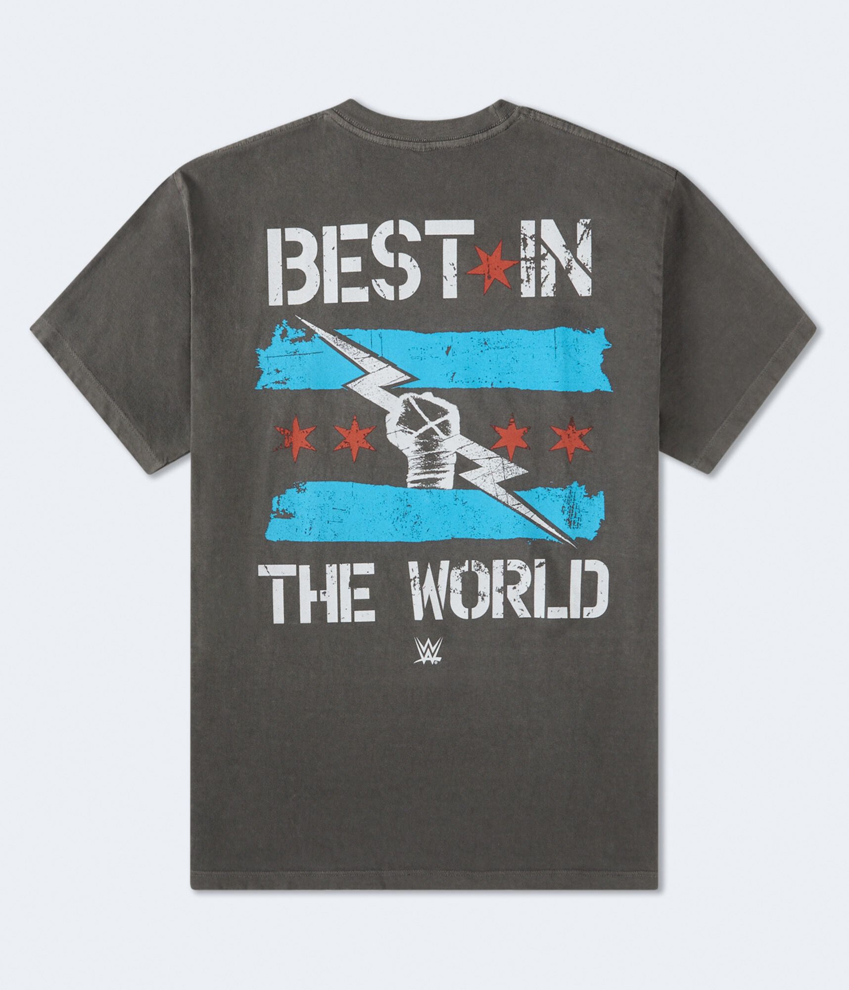 WWE CM Punk Relaxed Graphic Tee