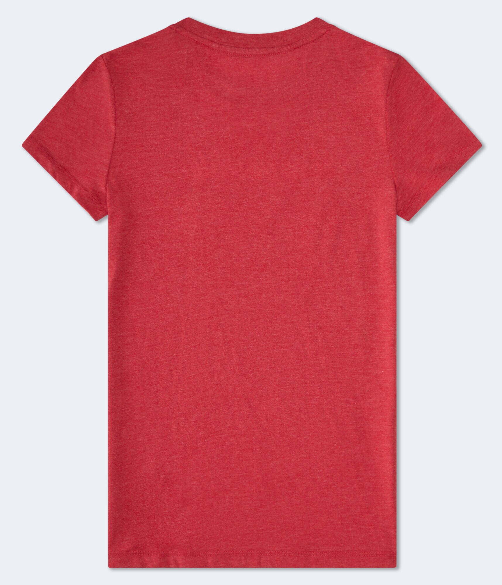 Aeropostale Butterfly Flocked Graphic Tee