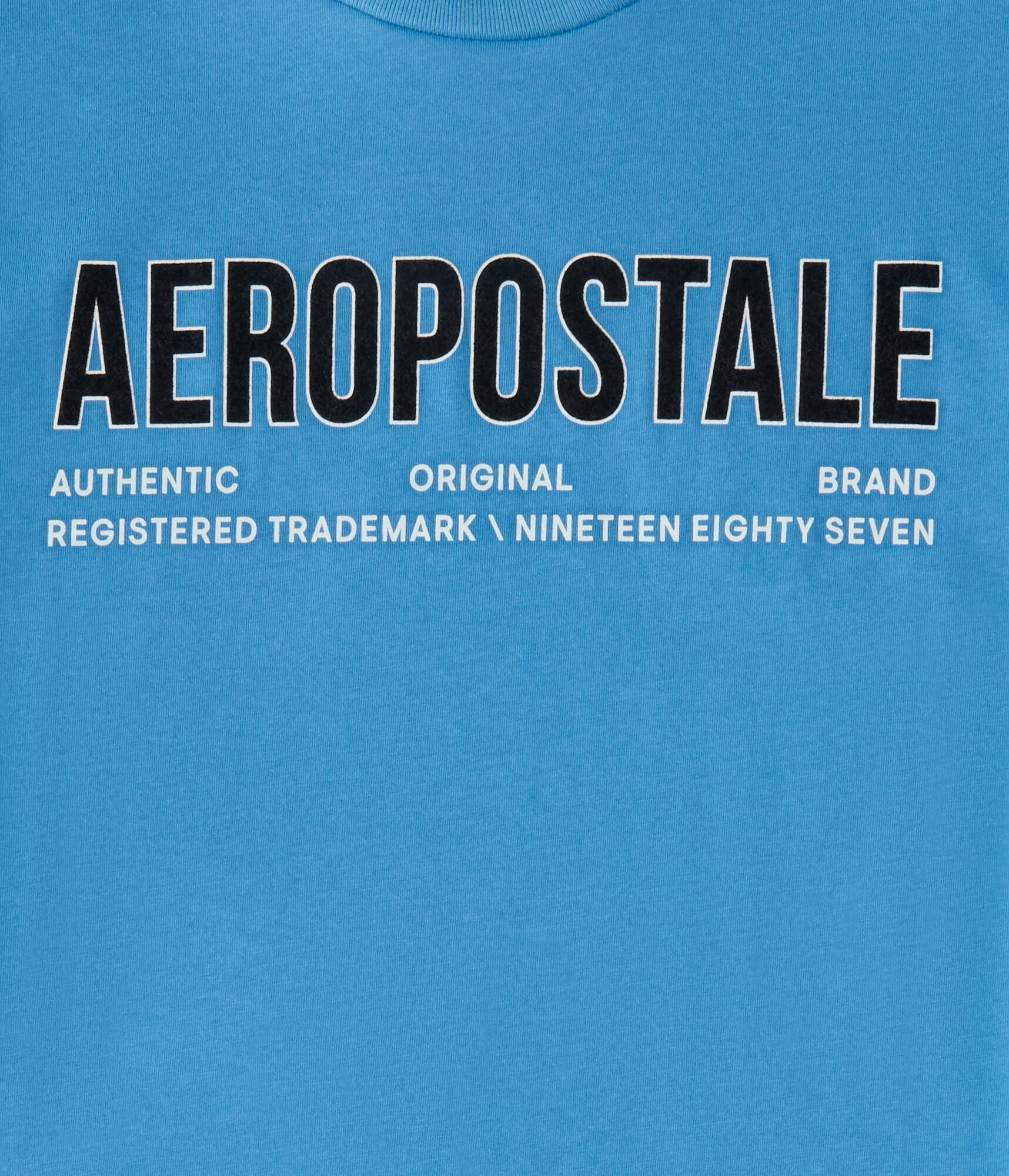 Aeropostale Authentic Logo Flocked Graphic Tee