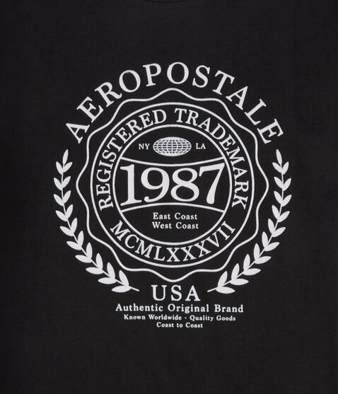 Aeropostale Laurel Circle Flocked Graphic Tee Aeropostale Laurel Circle Flocked Graphic Tee