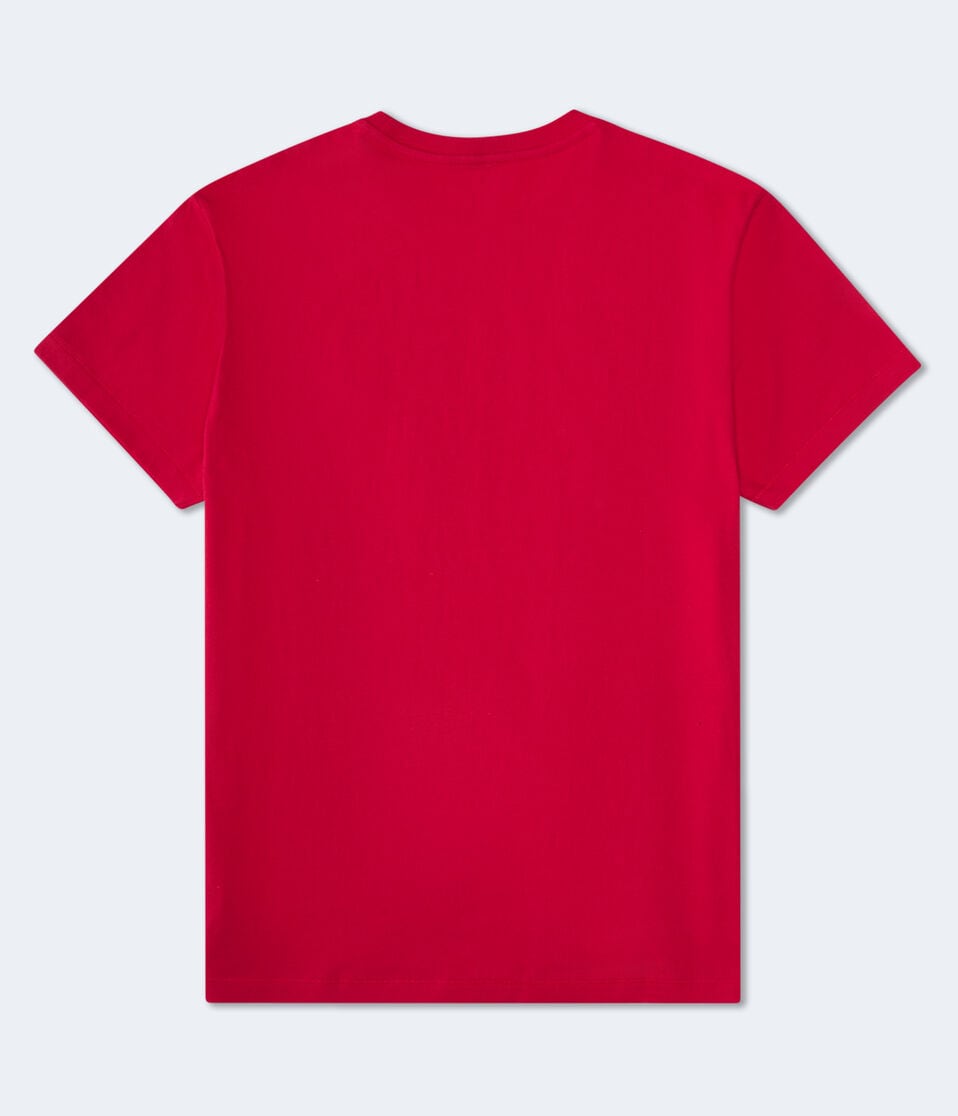 Aero 87 Original Appliqué Graphic Tee