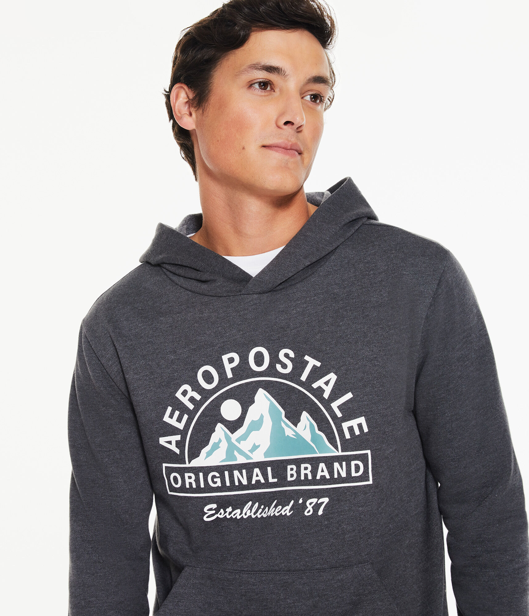 Aeropostale Mountains Pullover Hoodie