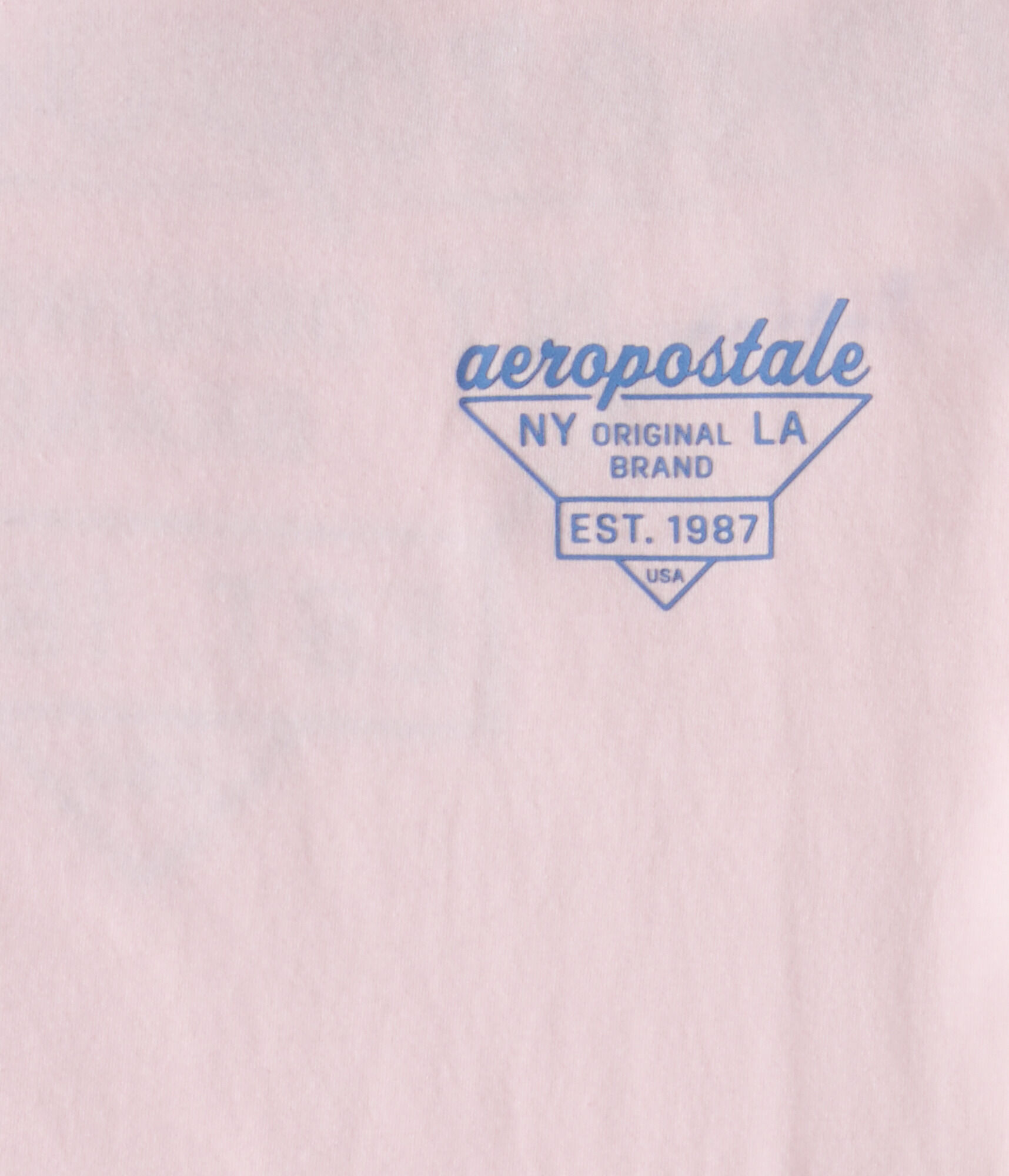 Aeropostale Triangle Logo Graphic Tee