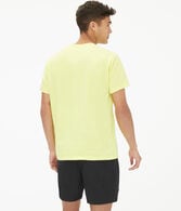 Aero Palm Tree Box Logo Appliqué Graphic Tee