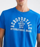 Aeropostale Arch Flocked Graphic Tee