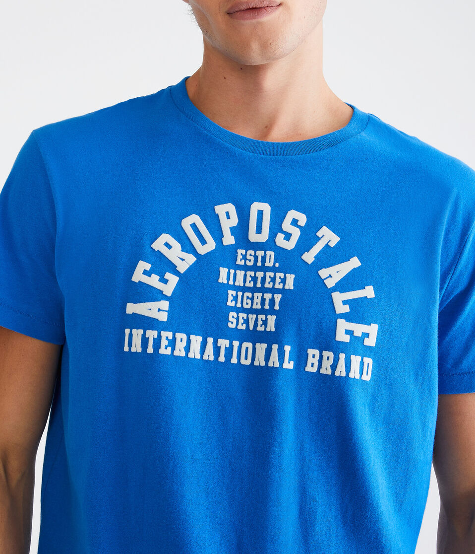 Aeropostale Arch Flocked Graphic Tee