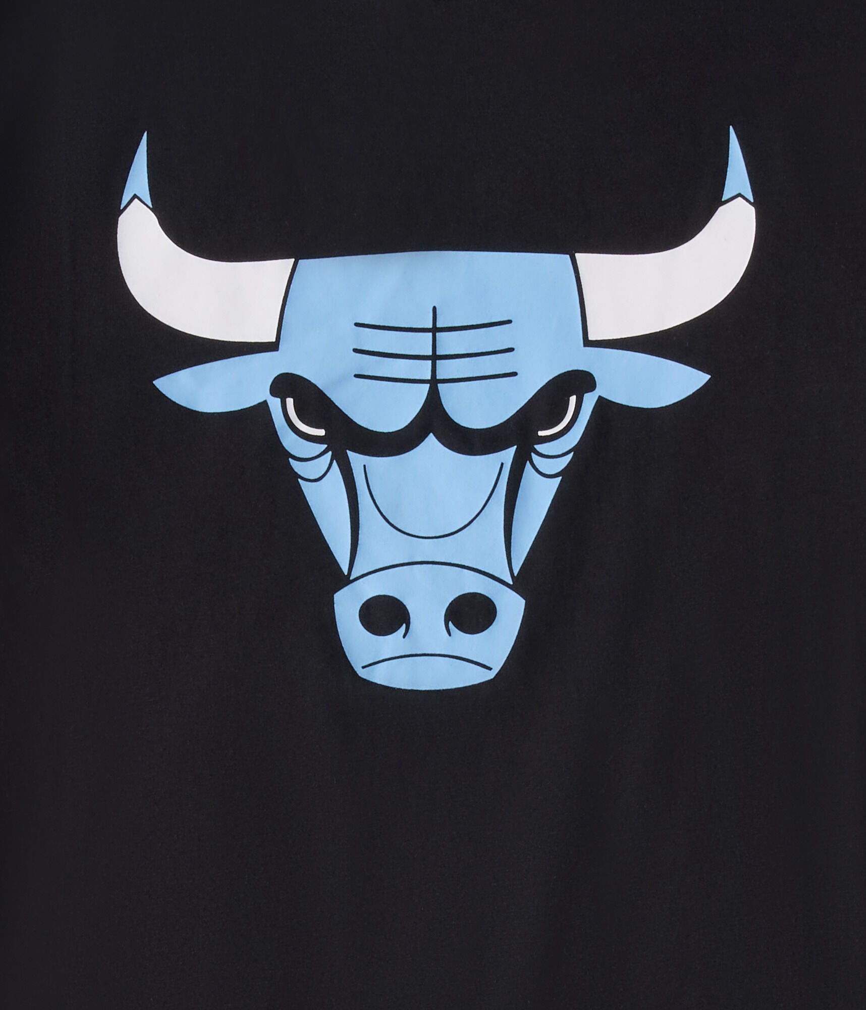 Chicago Bulls Ice Relaxed Graphic Tee