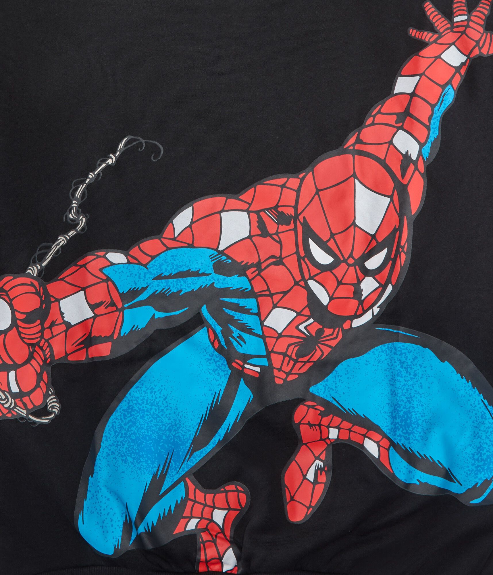 The Amazing Spider-Man Pullover Hoodie