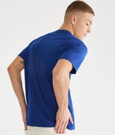 Aero Rainbow Foil Pride Graphic Tee