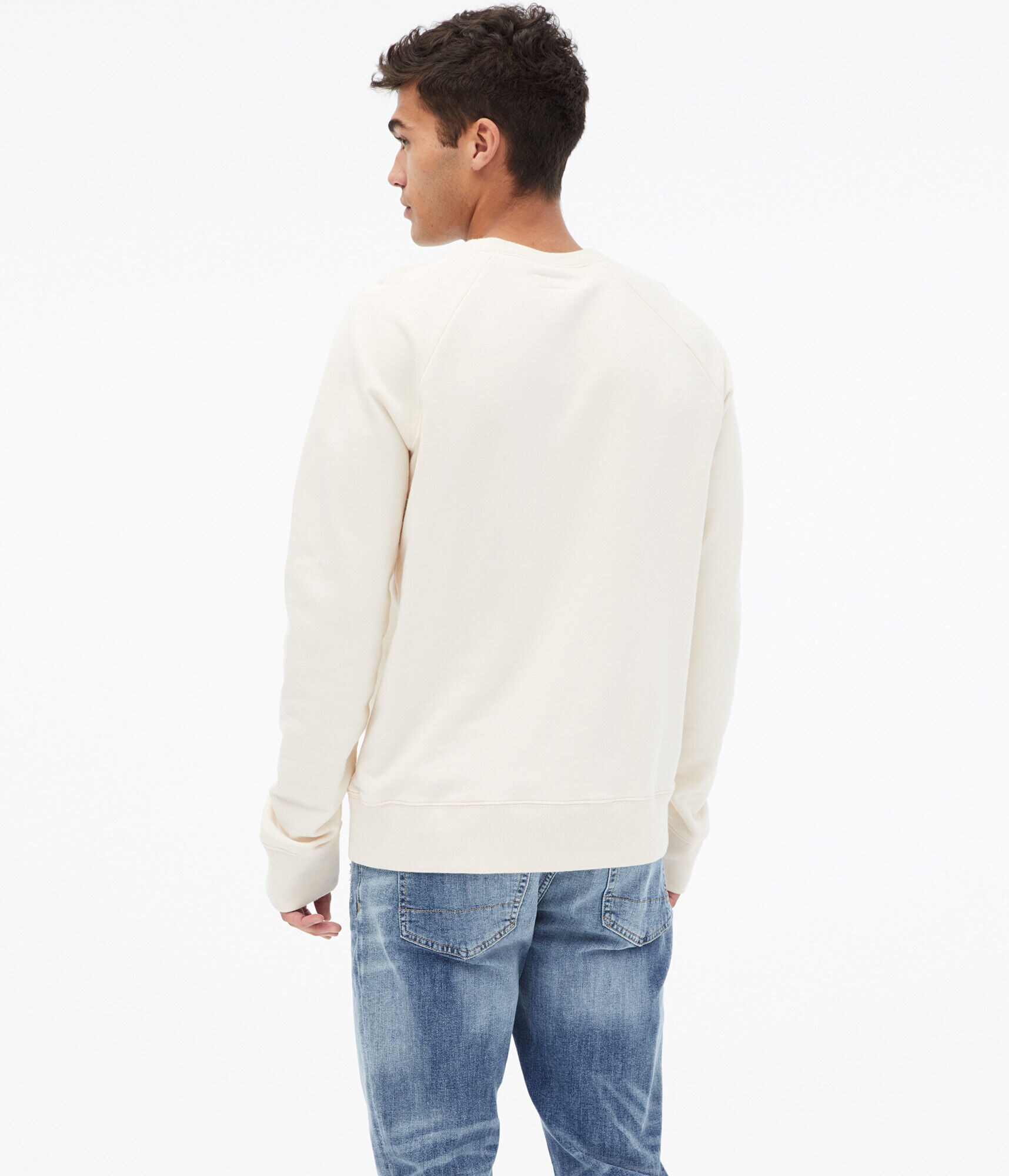 Aero Tonal Box Logo Washed Crew Sweatshirt