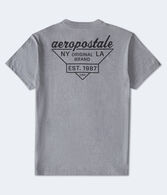 Aeropostale Triangle Logo Graphic Tee