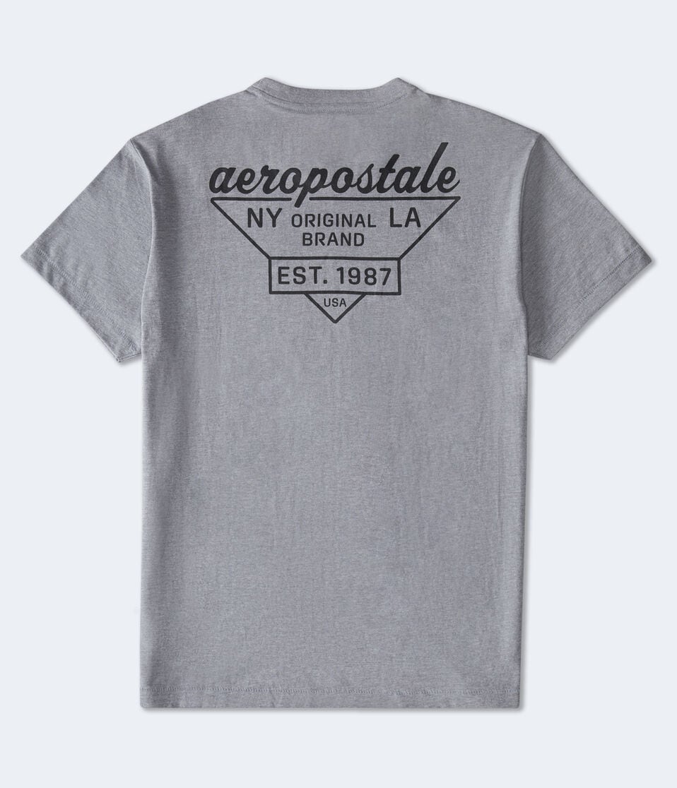 Aeropostale Triangle Logo Graphic Tee