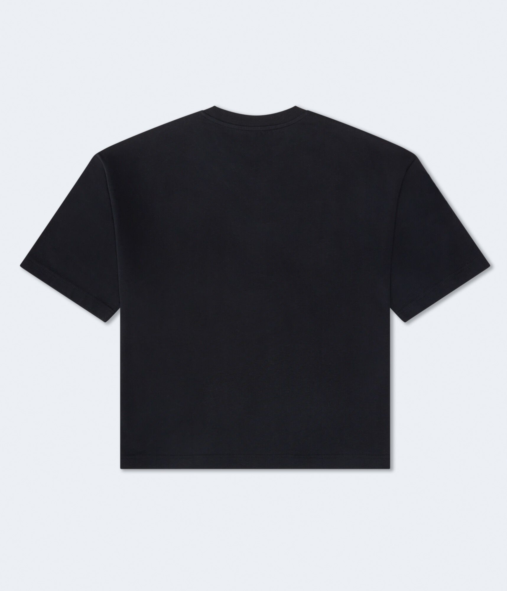 Philadelphia Eagles Boxy V-Neck Graphic Tee
