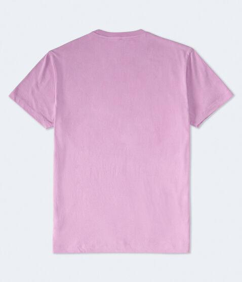 Aero Oval Box Logo Graphic Tee