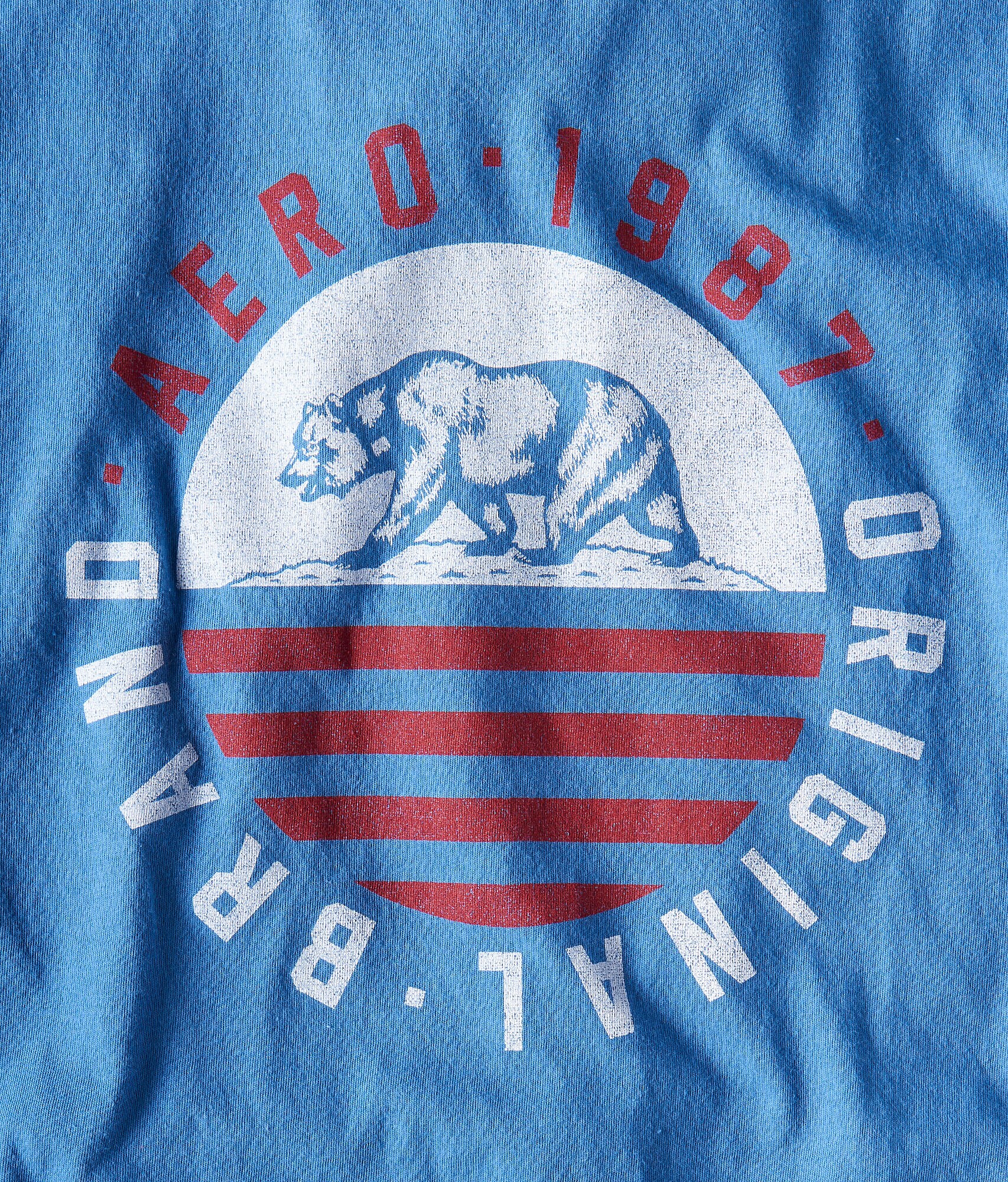 Aero Circle Bear Graphic Tee