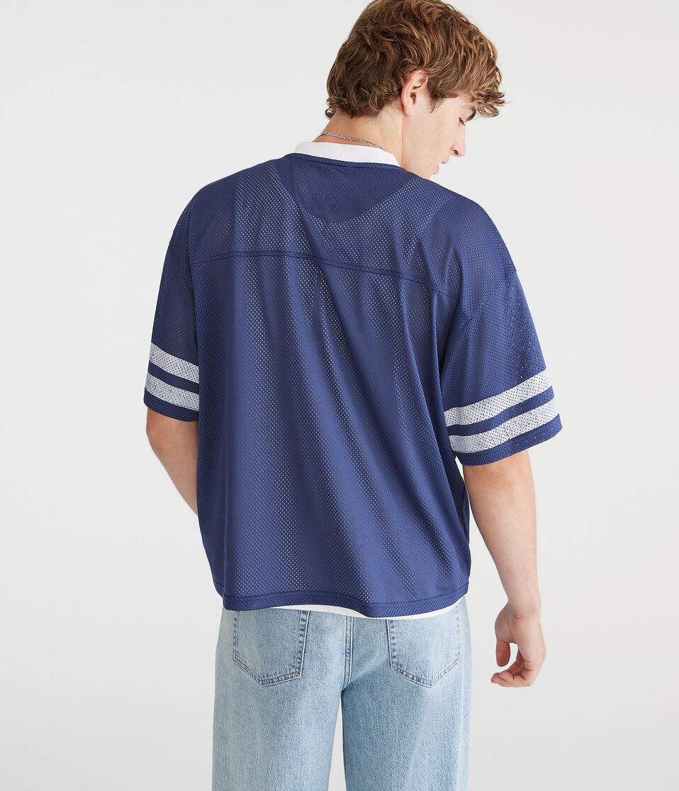 Ford Mustang 64 Mesh Top