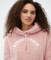 Aeropostale Logo Sherpa Fleece Pullover Hoodie