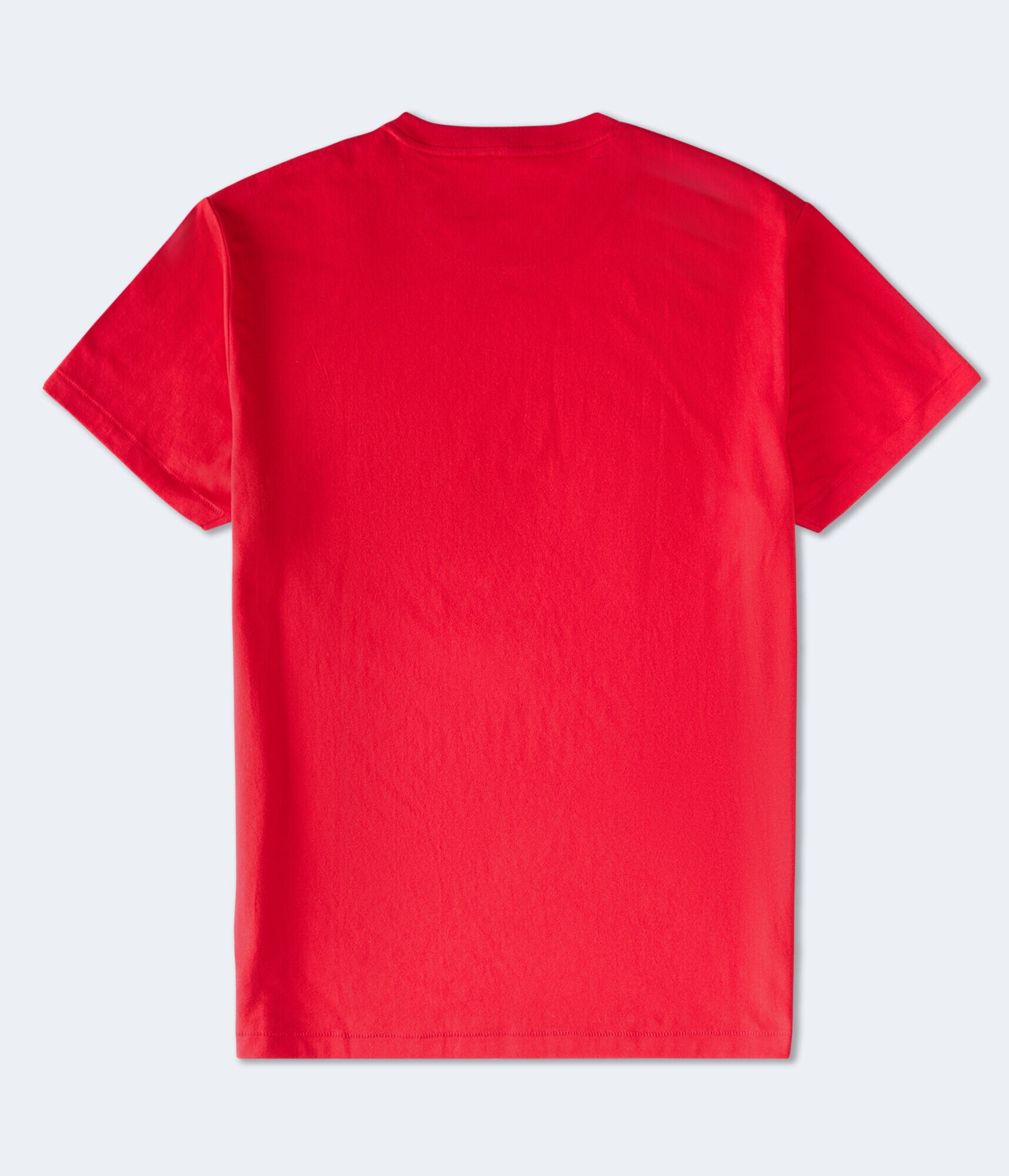 Aeropostale 1987 Arch Flocked Graphic Tee