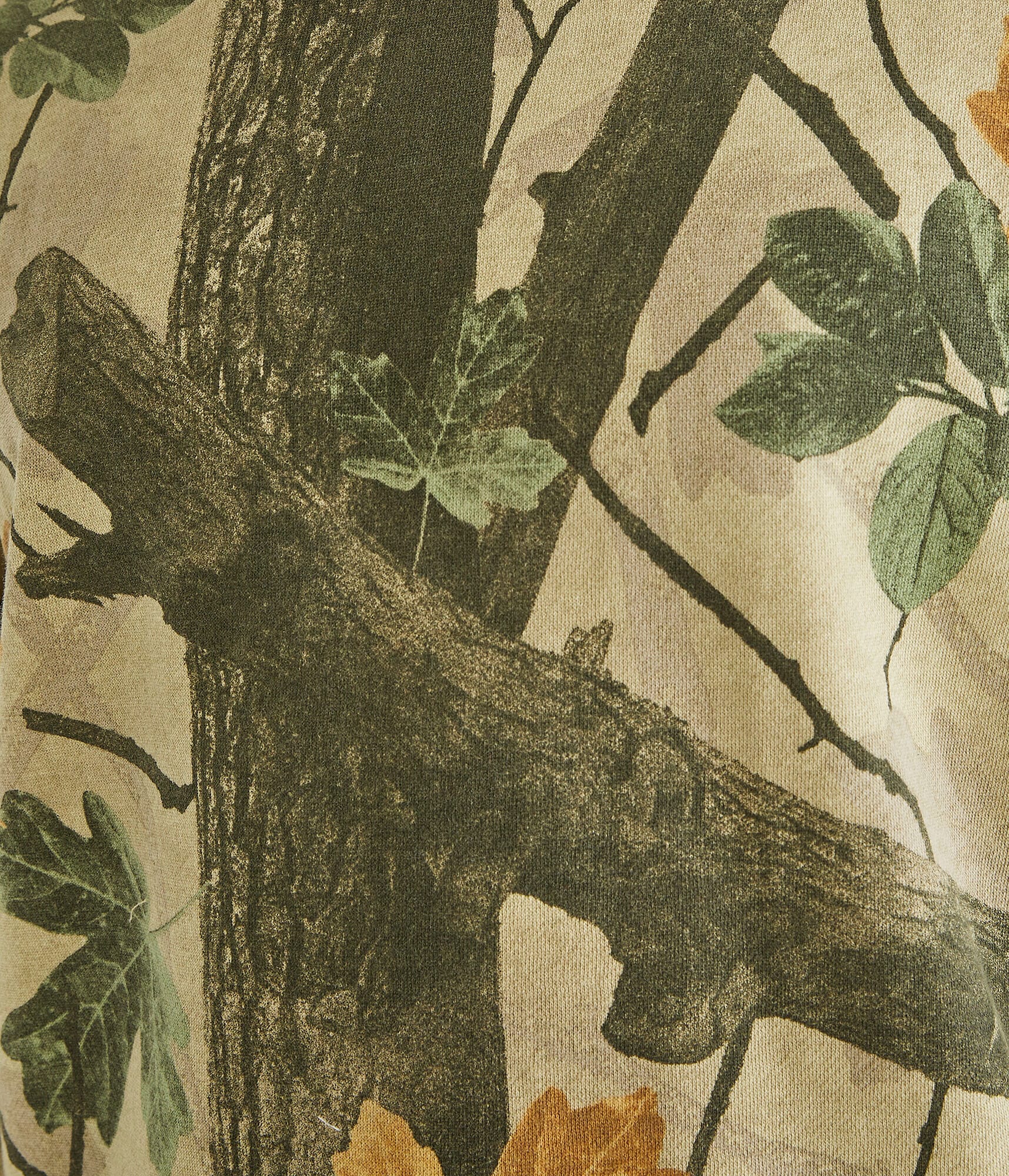 Forest Print Crew Sweatshirt