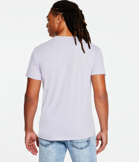 Aero Rose Box Logo Graphic Tee Aero Rose Box Logo Graphic Tee
