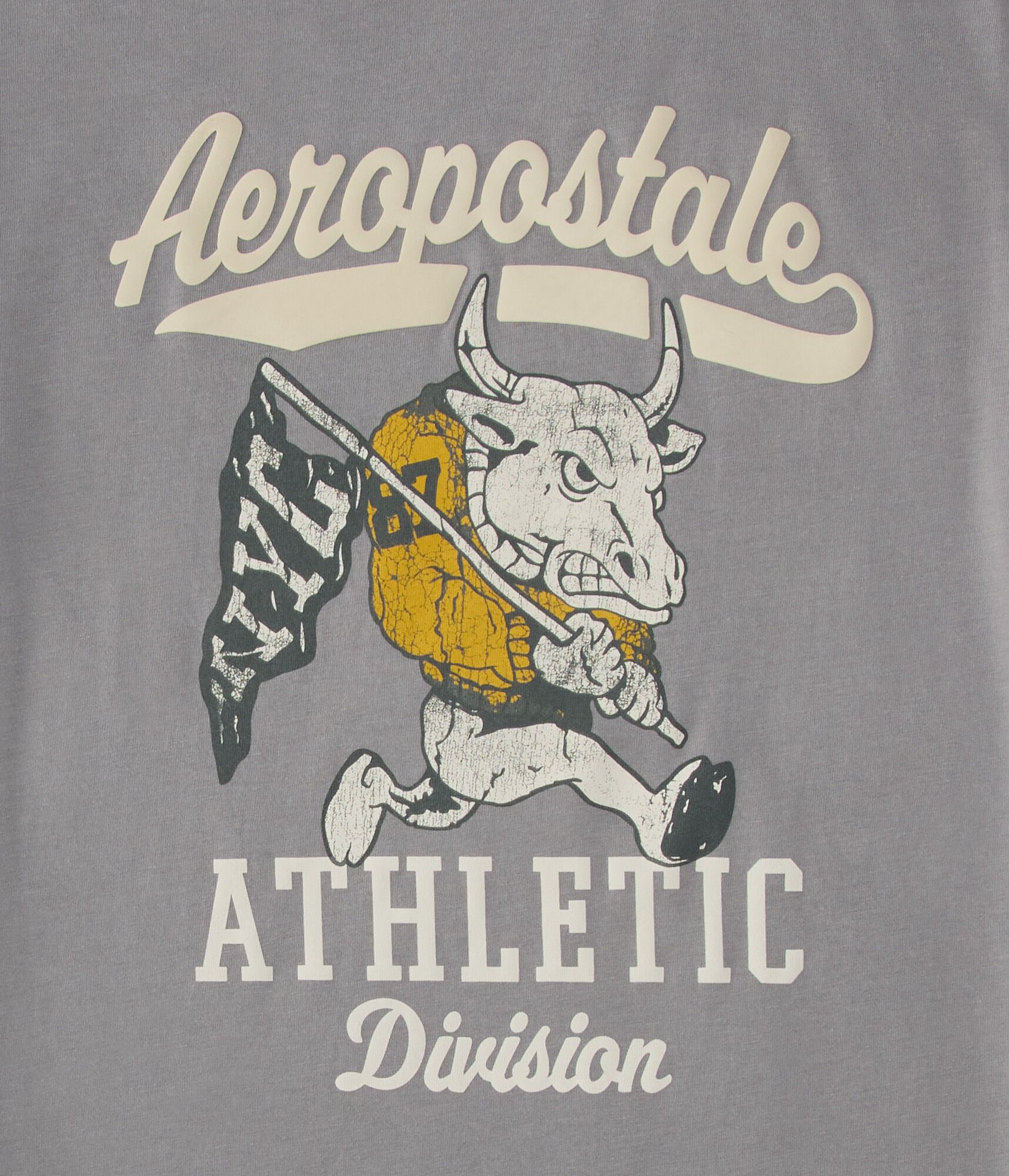 Aeropostale NYC Bull Graphic Tee