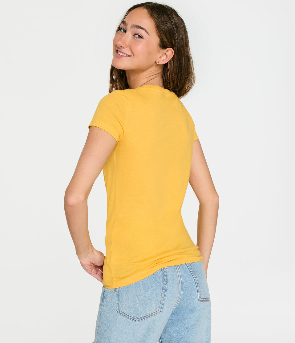 Aeropostale Arch Rose Graphic Tee