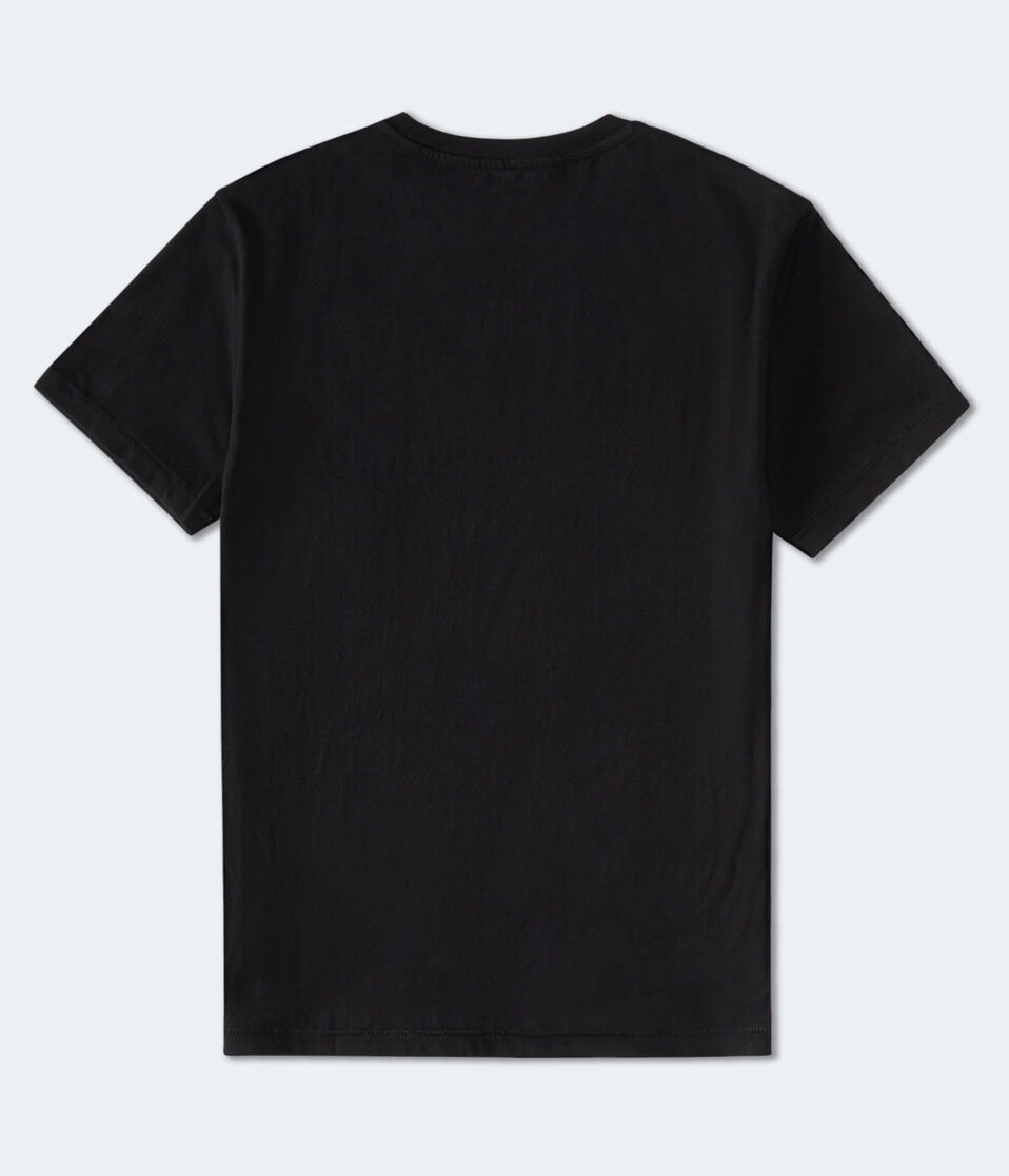Aeropostale Script Appliqué Graphic Tee