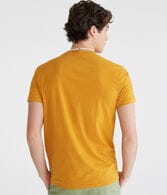 Aeropostale Rose Trio Graphic Tee