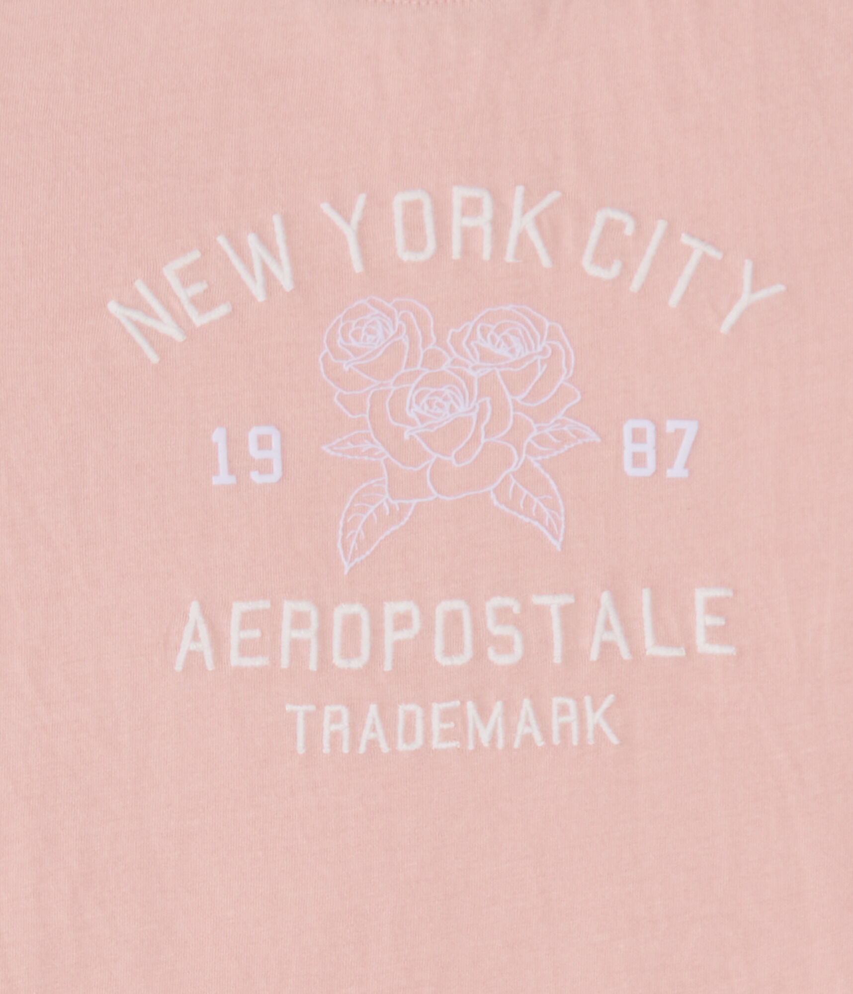 Aeropostale Roses Arch Graphic Tee