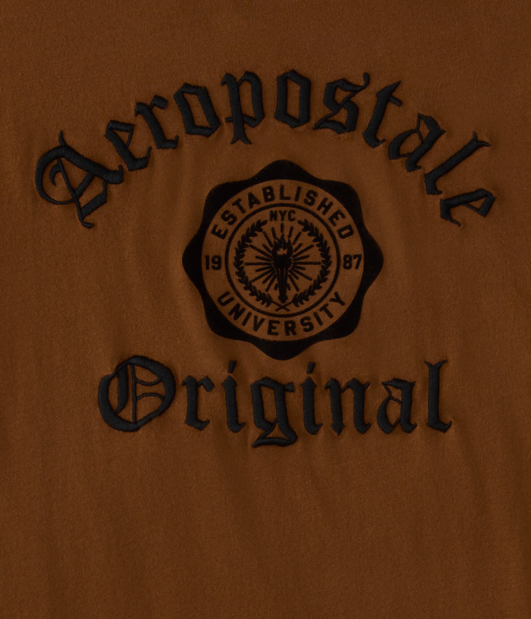 Aeropostale Original Crest Graphic Tee