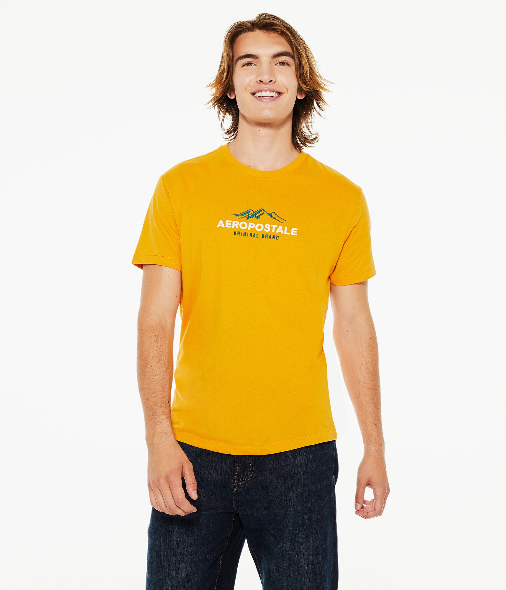 Aeropostale Mountains Logo Graphic Tee