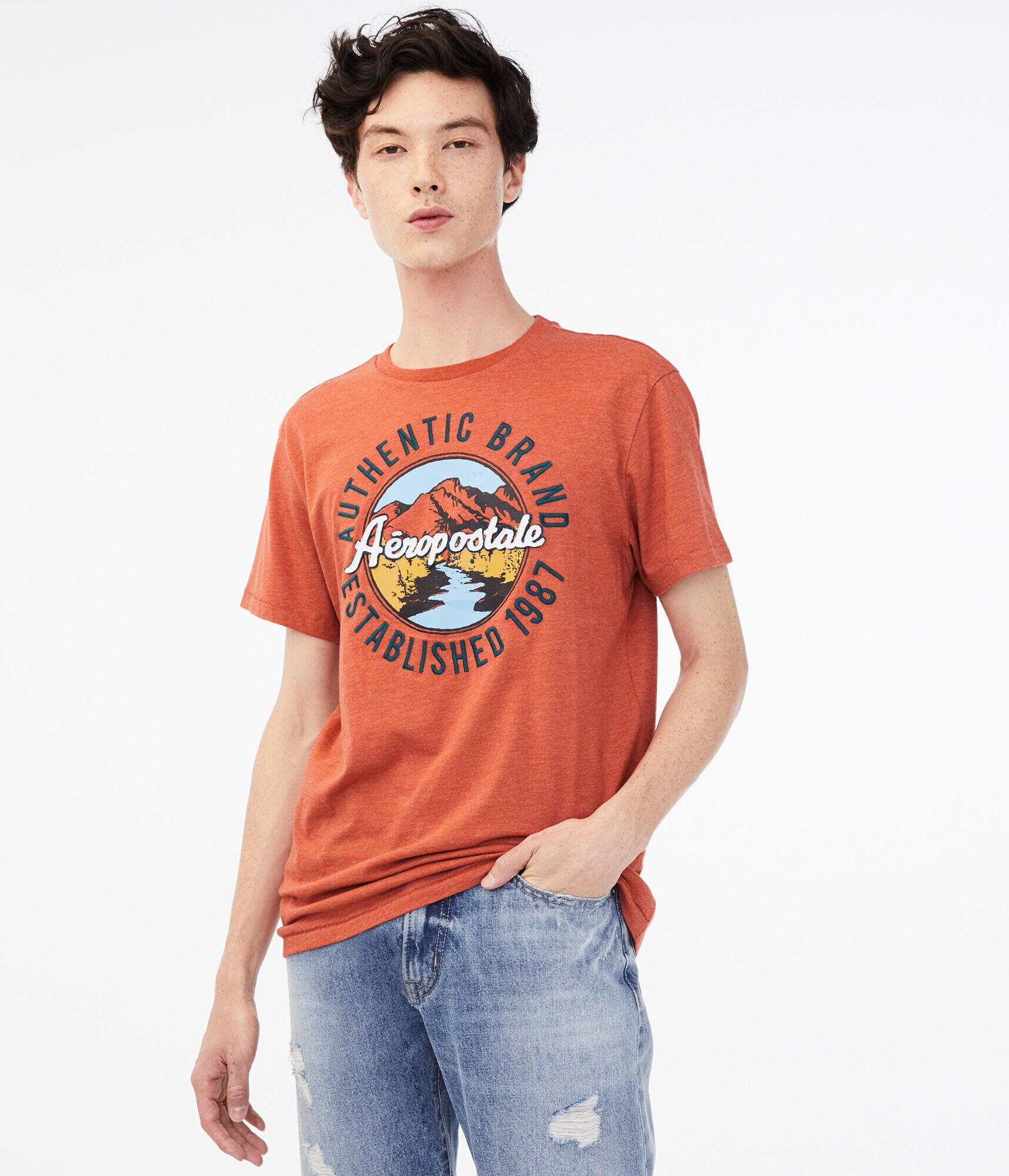 Aeropostale Mountain Scene Graphic Tee