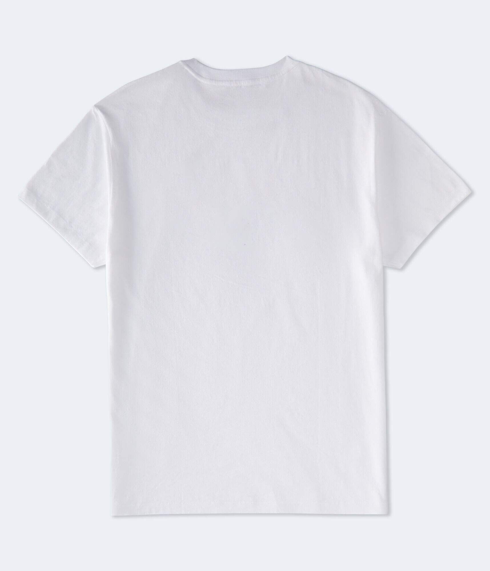 Aero 1987 Oval Flocked Graphic Tee