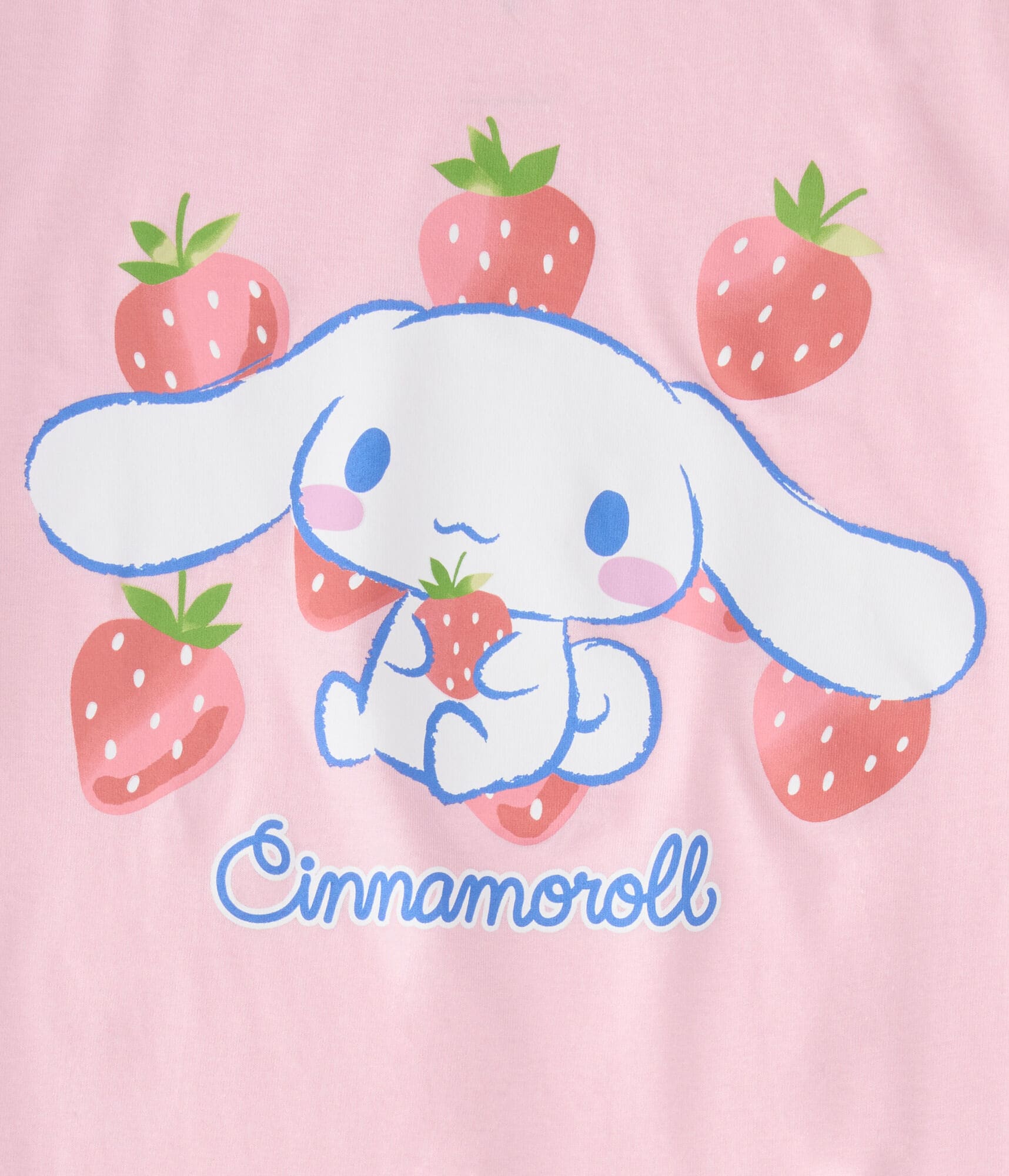 Cinnamoroll Strawberries Oversized Graphic Tee