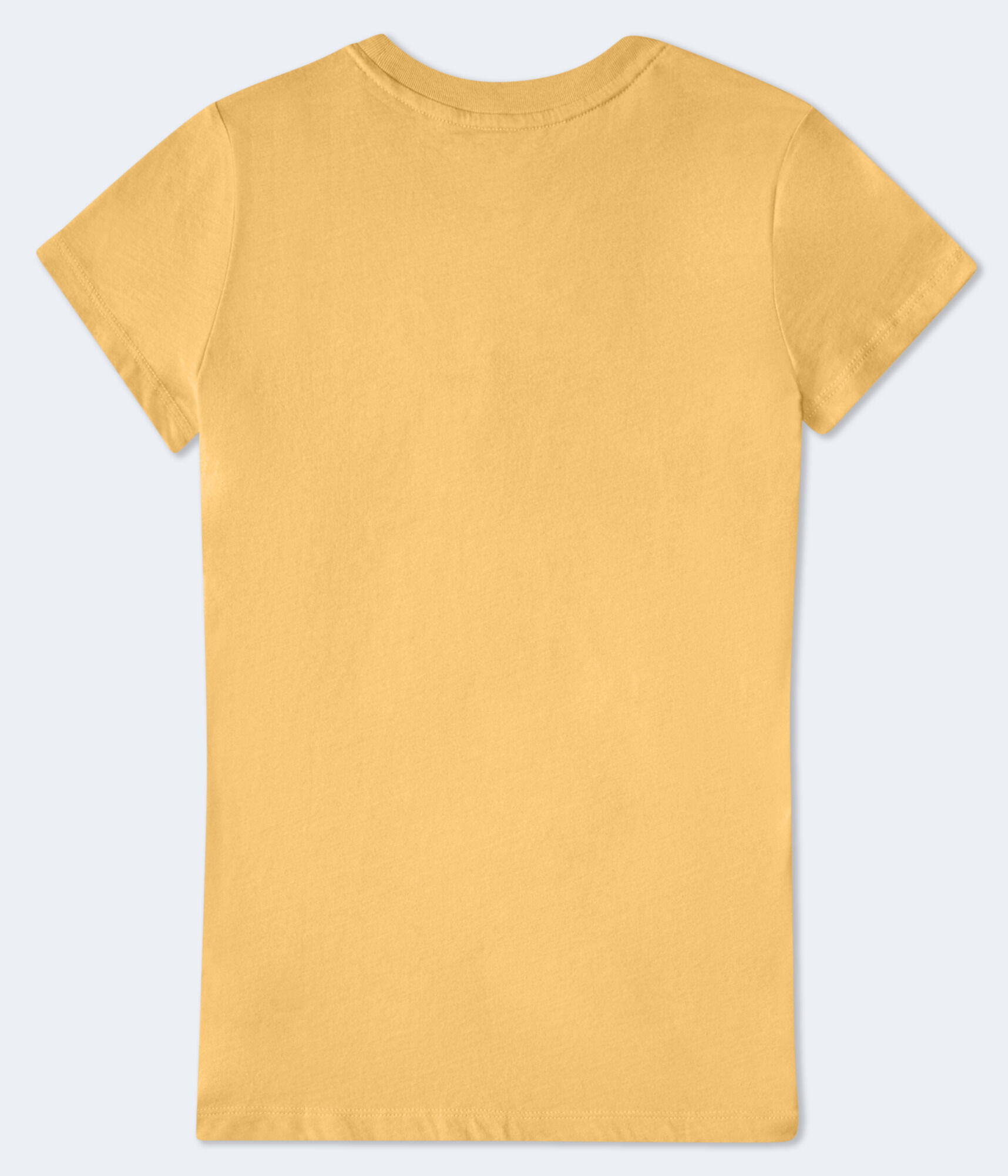 Aero 1987 Butterfly Appliqu&eacute; Graphic Tee