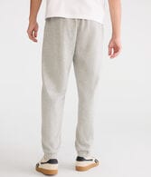 Cloud Soft Cinched Jogger Sweatpants