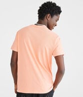 Aeropostale Script Appliqué Graphic Tee