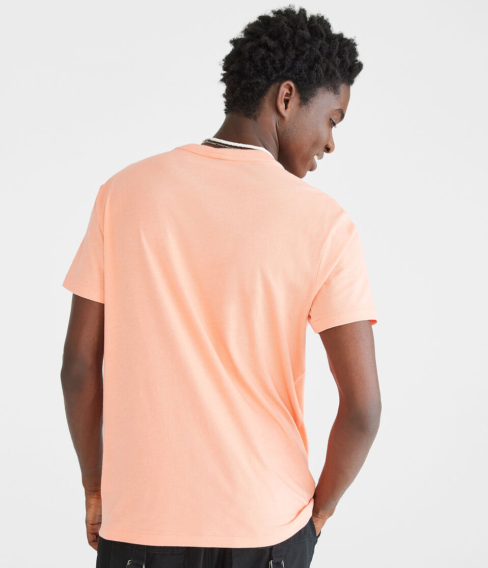 Aeropostale Script Appliqué Graphic Tee