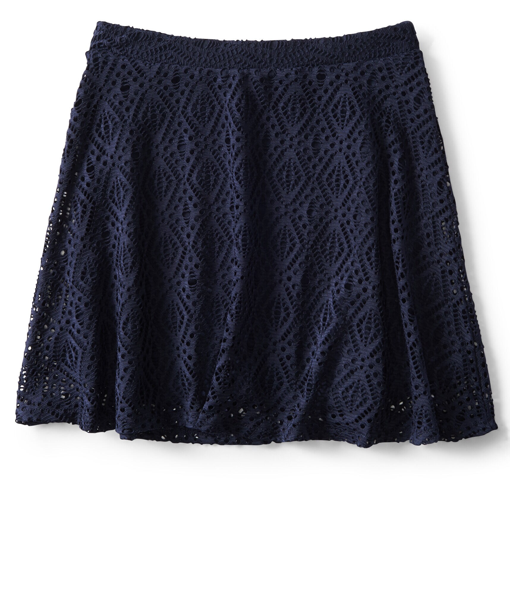 Lace Skater Skirt