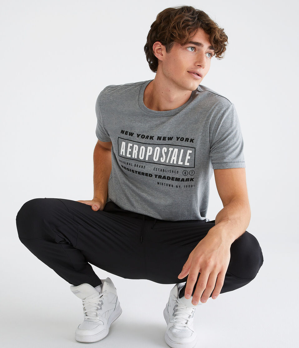 Aeropostale New York Box Logo Graphic Tee