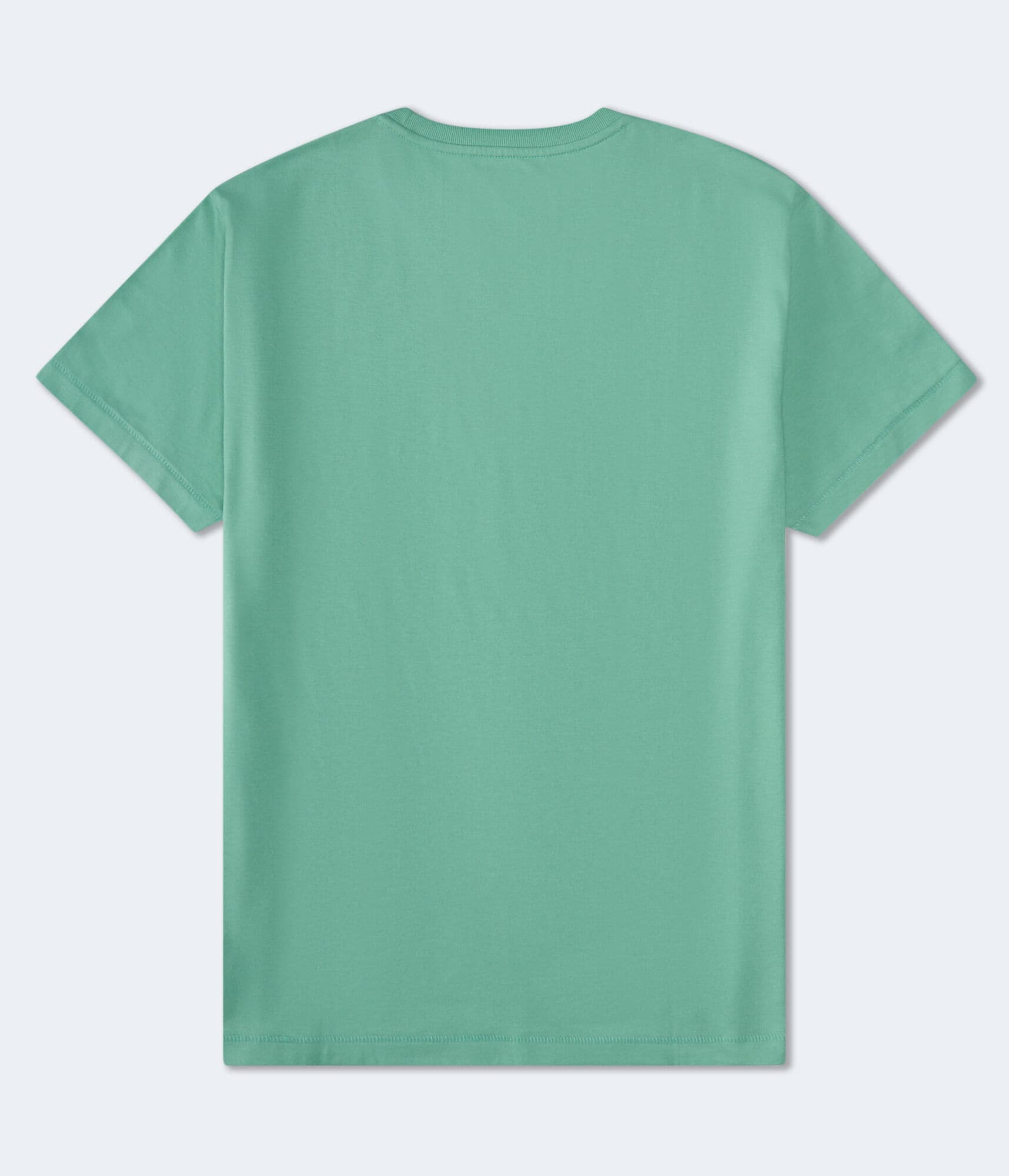 Aero Script Logo Graphic Tee