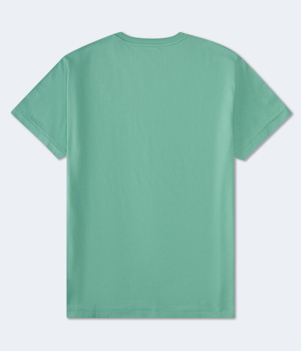 Aero Script Logo Graphic Tee