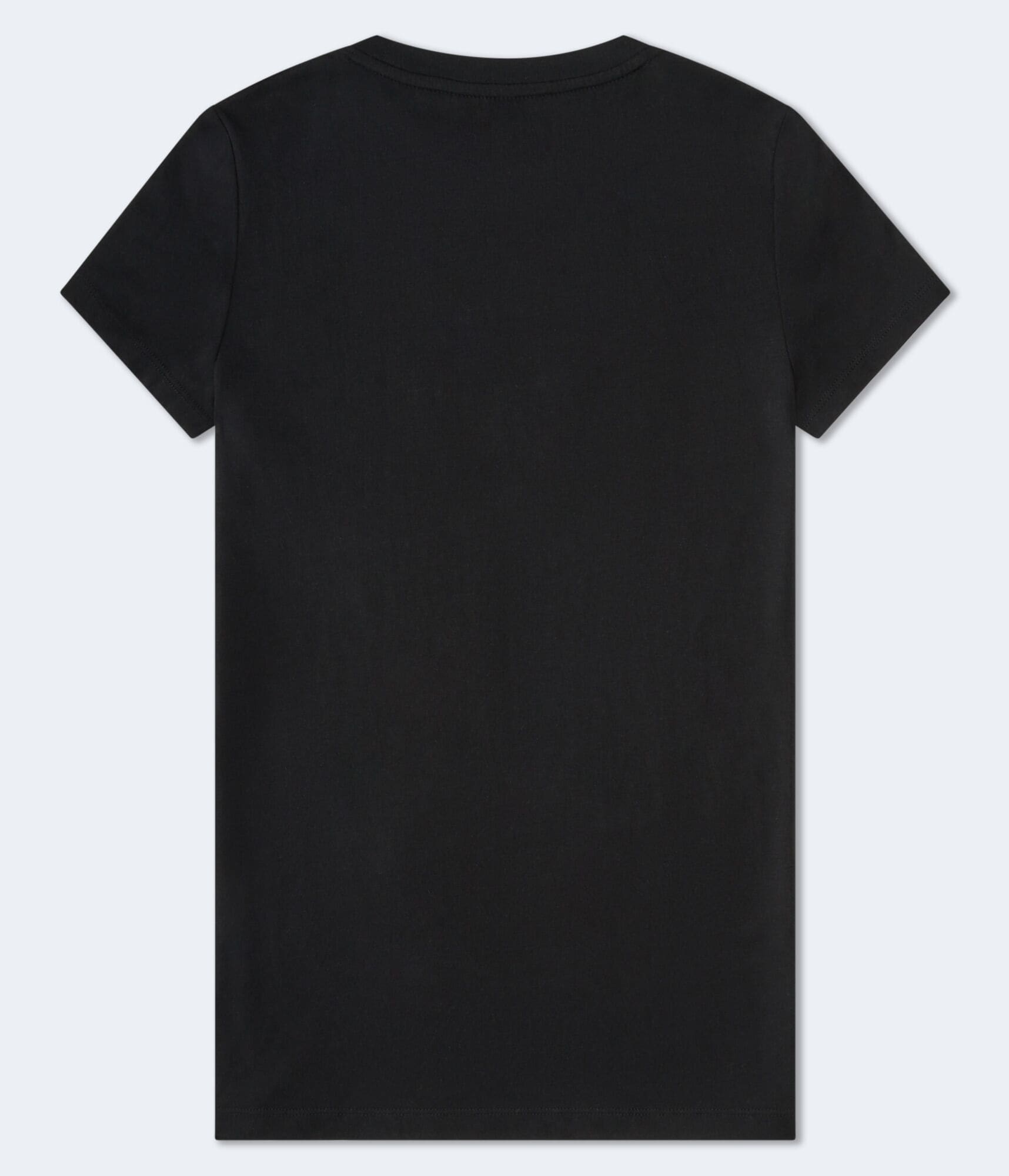 Aeropostale Butterfly Flocked Graphic Tee