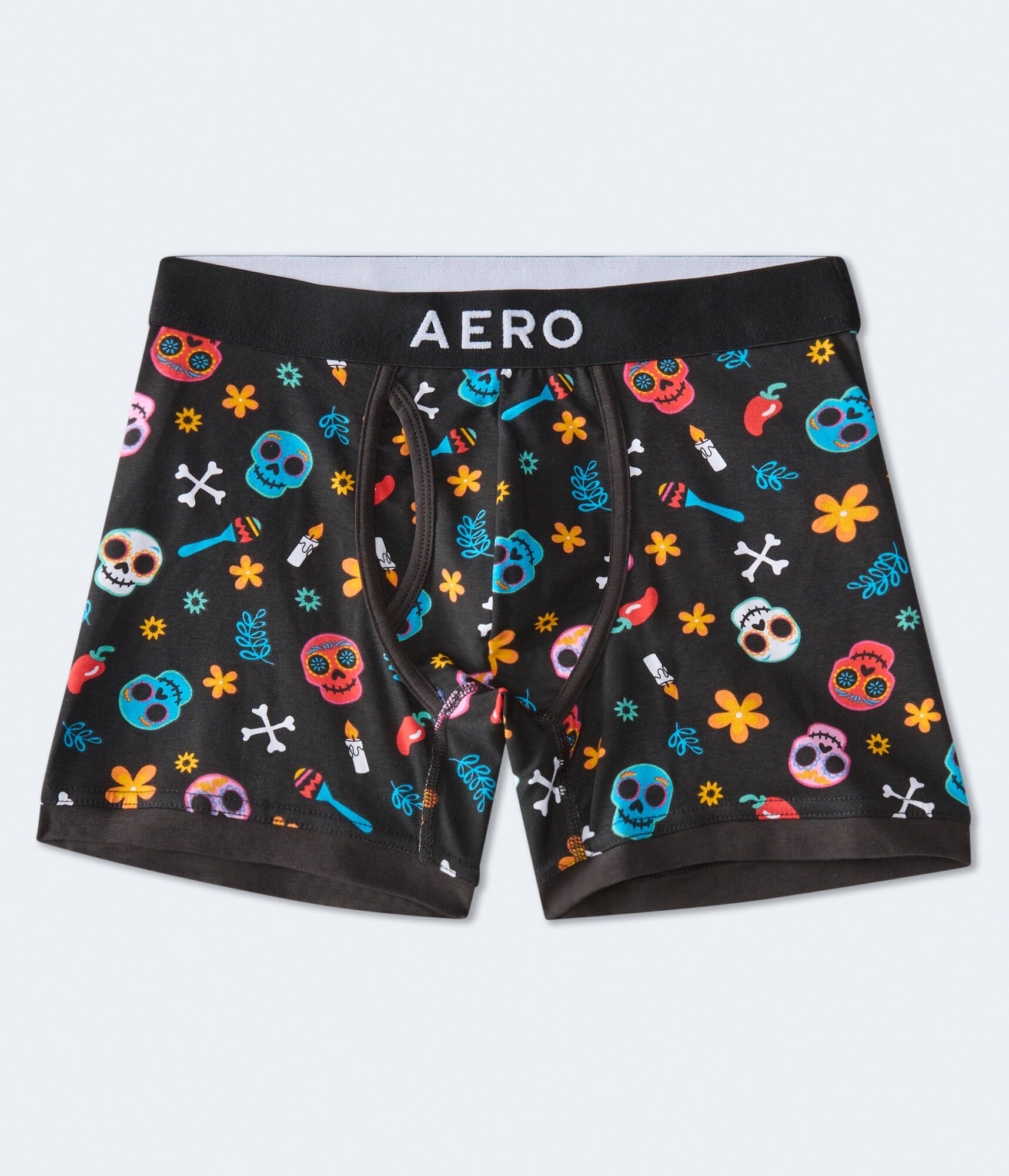 Day Of The Dead 4.5" Boxer Brief