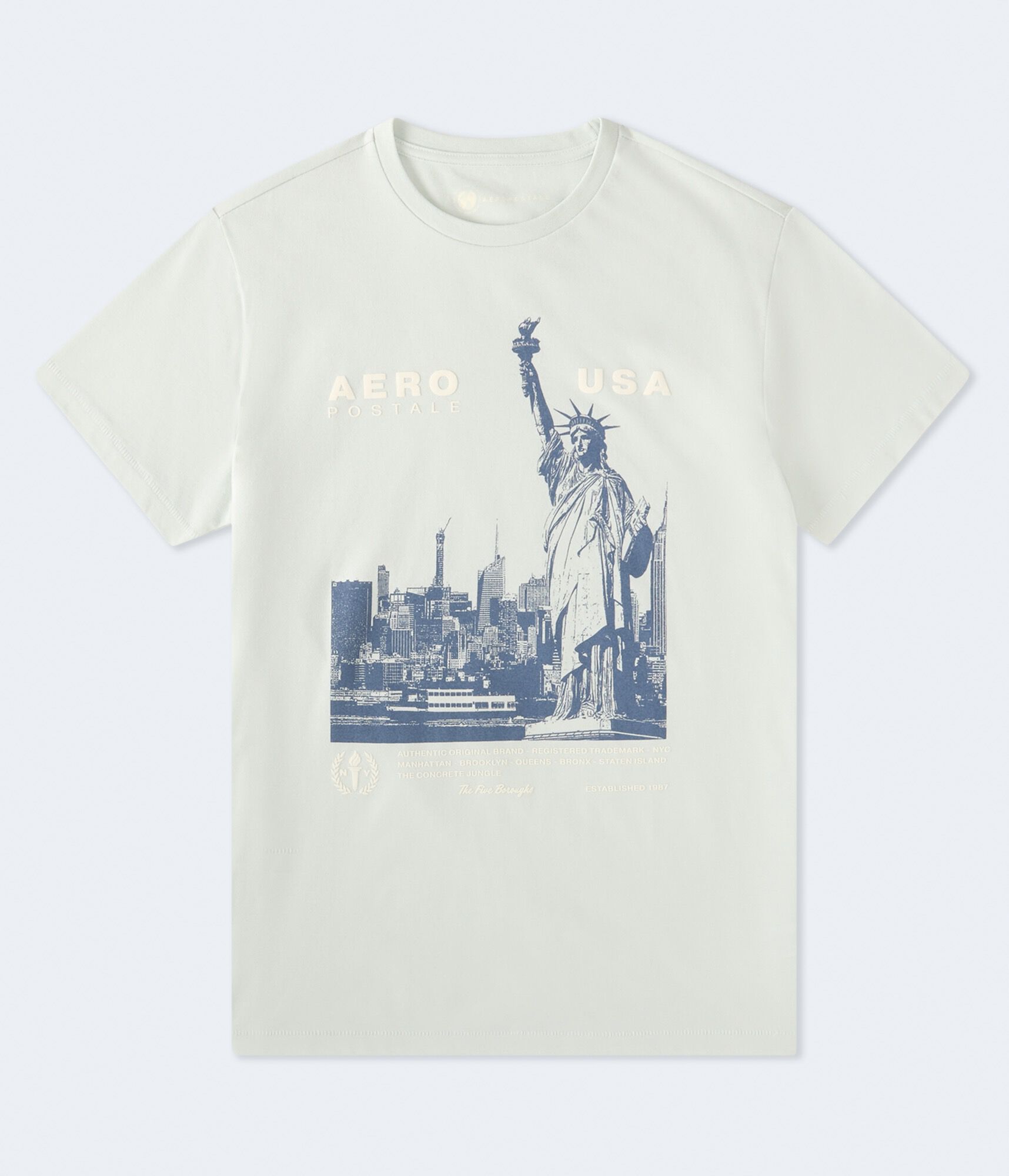 Aeropostale USA Statue Of Liberty Graphic Tee