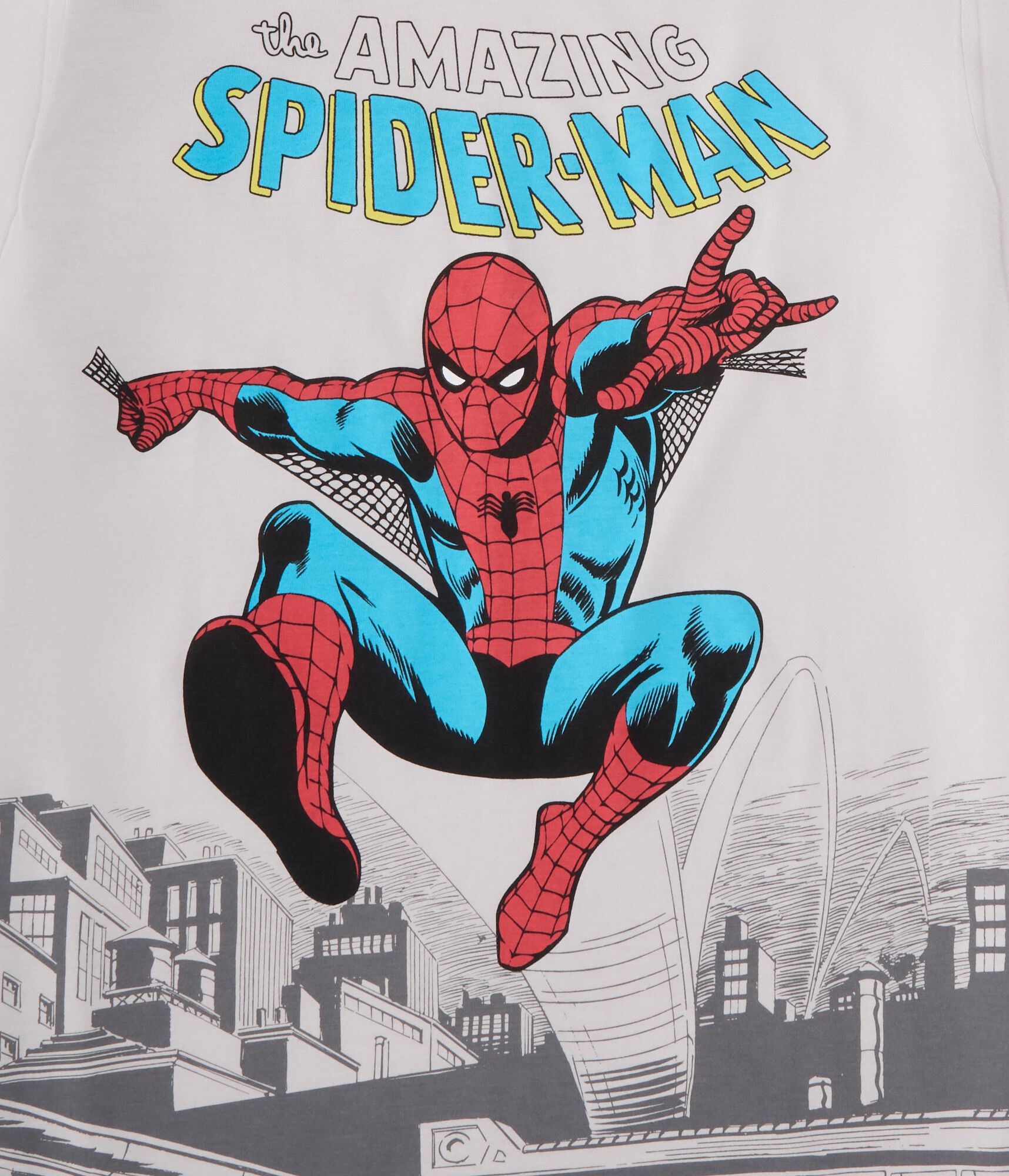 The Amazing Spider-Man Relaxed Graphic Tee