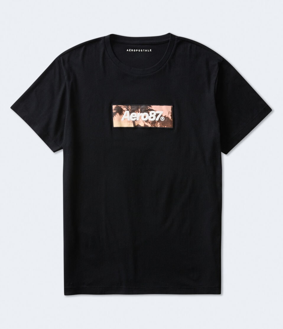 Aero87 Palm Tree Box Logo Graphic Tee