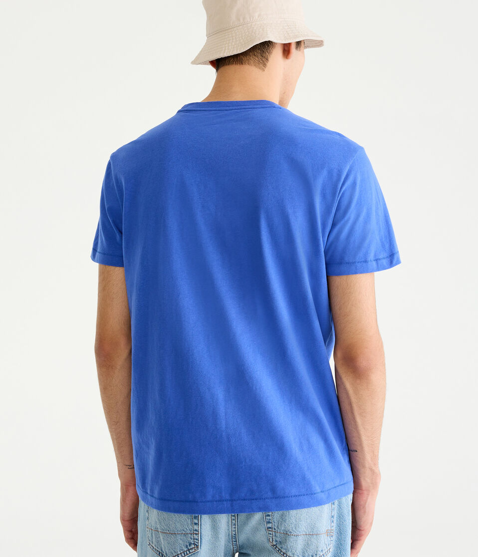 Repeating Aeropostale Logo Graphic Tee